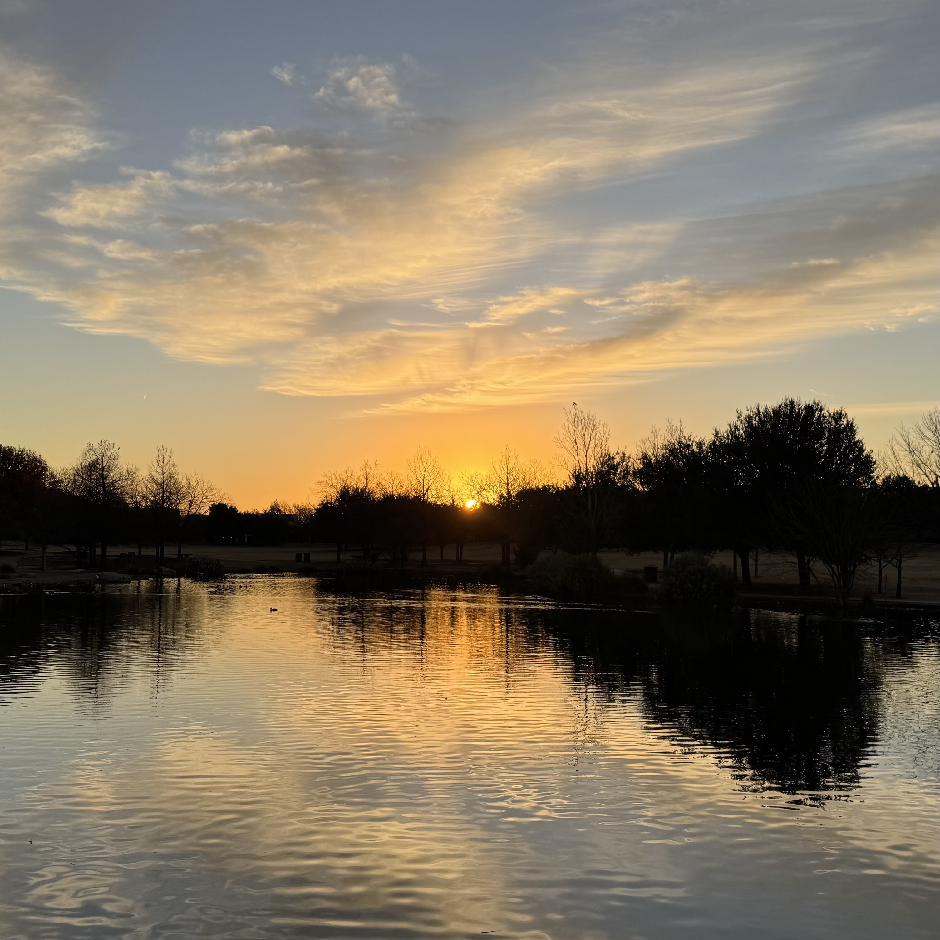 Sunrise at Mueller park